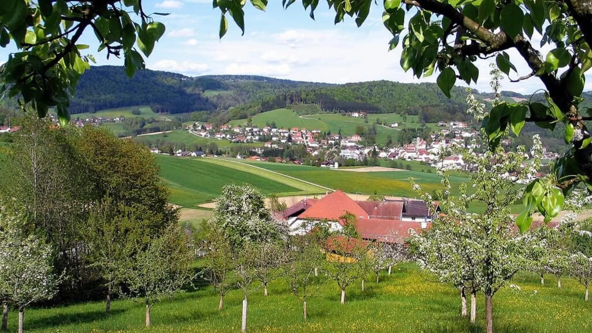 Ferienwohnung 